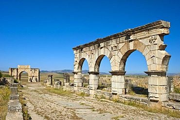 Roman ruins with triumphal arch of Caracalla, ancient residential city of Volubilis, northern Morocco, Africa