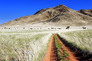 Dirt track in the Namib Desert, Namib Rand Nature Reserve, Namibia, Africa