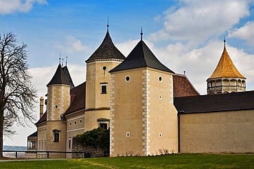 Rosenburg castle, Waldviertel region, Lower Austria, Austria, Europe