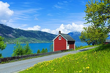 Old red cabin by the fjord, Hardangerfjord, Lofthus, Norway, Europe