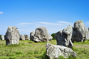 Carnac stones in Carnac, Brittany, France, Europe