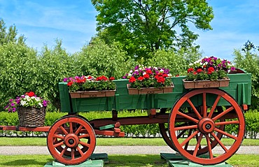 Old wagon decorated with pots of flowers