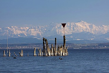 Remains of old jetty at Lake Constance with the peak of Mt Saentis, Alpstein massif, at back during foehn weather conditions, Baden-Wuerttemberg, Germany, Europe