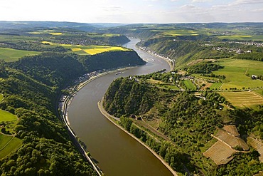 Aerial view, Loreley rock, Urbar, Rhine River, low water, Upper Middle Rhine Valley World Heritage site, Rhineland-Palatinate, Germany, Europe