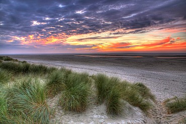 Sunset on the beach at De Cocksdorp on Texel, North Holland, Netherlands, Europe