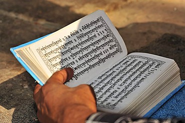 Holy scripture, temple, Varanasi, Benares, Uttar Pradesh, India, South Asia