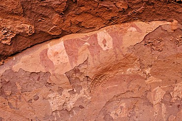 Painted cow, neolithic rockart of the Acacus Mountains or Tadrart Acacus range, Tassili n'Ajjer National Park, Unesco World Heritage Site, Algeria, Sahara, North Africa