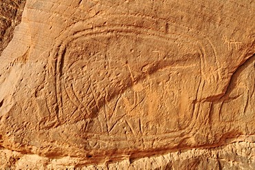 Elephant engraving, neolithic rock art of the Tadrart, Tassili n'Ajjer National Park, Unesco World Heritage Site, Algeria, Sahara, North Africa