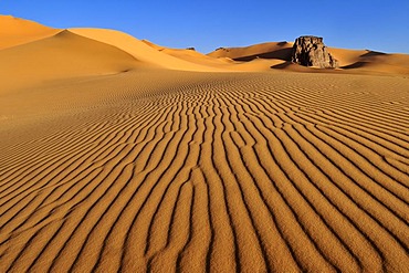 Rock formation in the dunes of Moul N'Aga, Tadrart, Tassili n'Ajjer National Park, Unesco World Heritage Site, Algeria, Sahara, North Africa