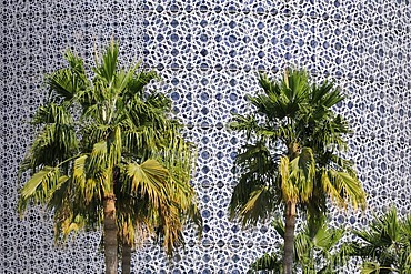 Facade of a skyscraper with palm trees, Doha, Qatar