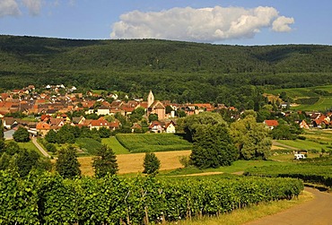 Wine village of Orschwihr along the Alsace Wine Road and Route des Vins d'Alsace, Upper Rhine, Alsace, France, Europe