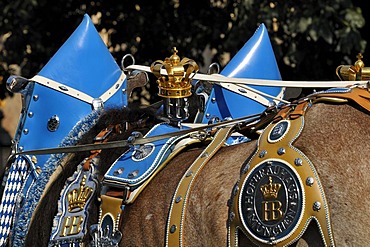 Munich Hofbrau brewery horse team, Schuetzen- und Trachtenzug, Costume and Riflemen's Parade, for the opening of Oktoberfest 2010, Oktoberfest, Munich, Upper Bavaria, Bavaria, Germany, Europe