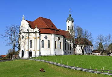 Wieskirche, Wies Church, pilgrimage church of scourged savior on the meadow, Rococo-style, 1745-1754, UNESCO World Heritage Site, Steingaden borough, Pfaffenwinkel, Upper Bavaria, Bavaria, Germany, Europe