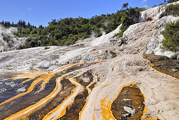 Rainbow and Cascade Terrace, Orakei Korako Cave and Thermal Park, Taupo-Rotorua, North Island, New Zealand