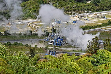 Geothermal power plant, Wairakei Borefield, North Island, New Zealand