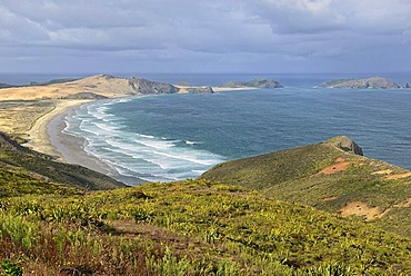 Te Werahi Beach to Cape Maria van Diemen, near Cape Reinga, North Island, New Zealand