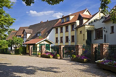 Dorfgasse alley, Dilsberg district, Neckargemuend, Naturpark Neckar-Odenwald nature park, Odenwald, Baden-Wuerttemberg, Germany, Europe