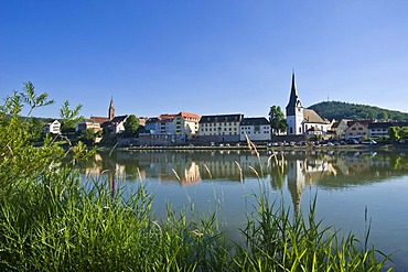 Old town and Neckar river at the Elsenz estuary, Neckargemuend, Baden-Wuerttemberg, Germany, Europe