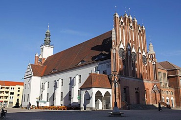 Town hall and Museum Junge Kunst, Frankfurt Oder, Brandenburg, Germany, Europe