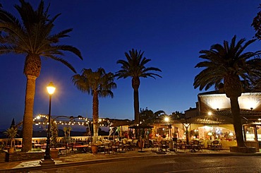 Outdoor restaurant with palm trees at night, Bormes-les-Mimosas, Provence-Alpes-Cote d'Azur region, France, Europe