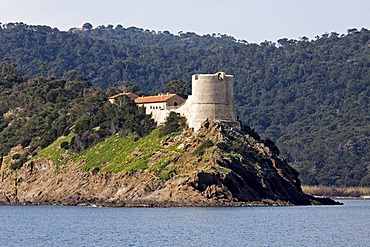 Old fortress of Port-Man on a cliff, Port-Cros National Park, Iles d'Hyeres islands, Provence-Alpes-Cote d'Azur, France, Europe