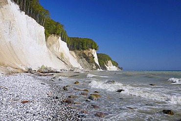 Steep coast, chalk cliffs, Jasmund National Park, Rugia, Ruegen, Mecklenburg-Western Pomerania, Germany, Europe