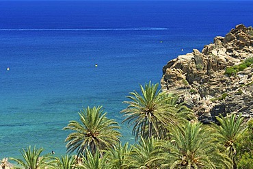 Palm beach of Vai, Crete, Greece, Europe