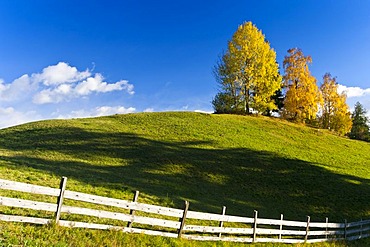 Autumn colours above Ritten, Alto Adige, Italy, Europe