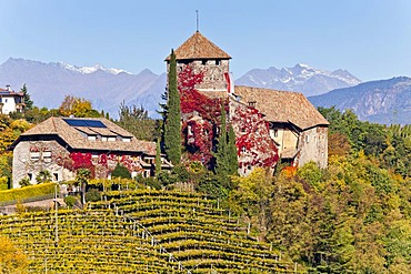 Warth Castle in front of the Texel Group Mountains, Appiano on the Wine Route, Alto Adige, Italy, Europe