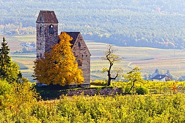 Castle Church of St. Sebastian, Englar Castle in Appiano on the Wine Route, South Tyrol, Italy, Europe