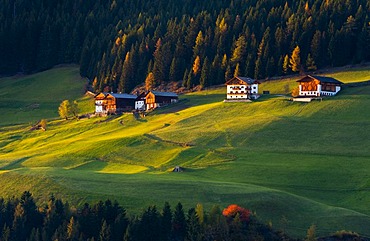 Mountain farms in the Villnoesstal valley in autumn, province of Bolzano-Bozen, Italy, Europe