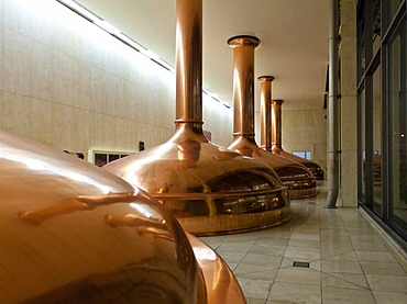 Copper vats, Binding brewery, Frankfurt, Hesse, Germany, Europe