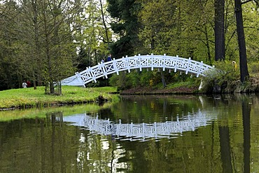 White Bridge, Woerlitzer Park, UNESCO World Heritage Site Dessau-Woerlitzer Gartenreich, Woerlitz, Saxony-Anhalt, Germany, Europe