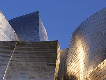 Guggenheim Museum by architect Frank O. Gehry, Bilbao, Biscay Province, Basque Country, North Spain, Europe