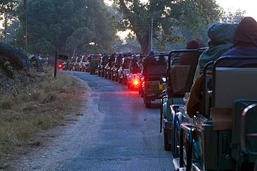 Queue of Jeeps with tourists, just before the gates of the park are opened, Kanha National Park, Madhya Pradesh, India, Asia