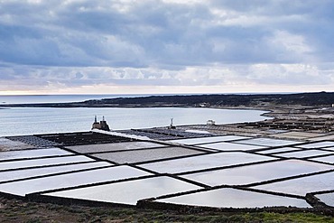 Salt extraction, saline, Salinas de Janubio, Lanzarote, Canary Islands, Spain, Europe