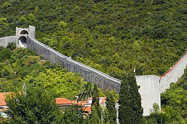 Defence walls on the mountain of Veliki Ston, Peljesac Peninsula, Dalmatia, Croatia, Europe