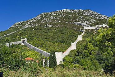 Defence walls on the mountain of Veliki Ston, Peljesac Peninsula, Dalmatia, Croatia, Europe