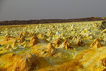 Sulphure formations, Dallol, Danakil Depression, Ethiopia, Africa