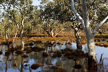 Australian outback landscape, Pilbara, Western Australia