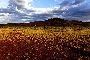 Australian outback, Pilbara, Western Australia, Australia