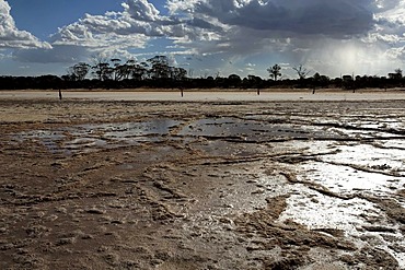 Salt Lake, Baladjie Nature Reserve, Western Australia, Australia