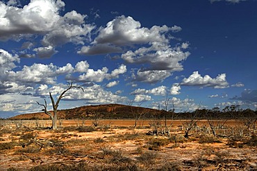 Landscape, Baladjie Nature Reserve, Western Australia, Australia