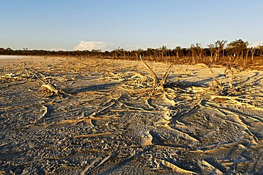 Lake Ninan salt lake, Victoria Plains, Western Australia, Australia