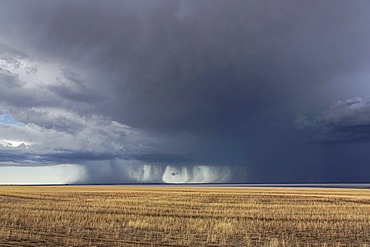 Storm over farmland and Yarra Yarra Lake, Carnamah, Western Australia, Australia