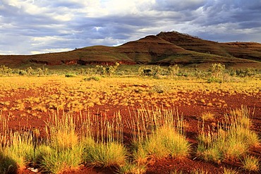 Outback landscape, Pilbara, Western Australia