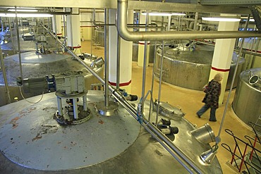 Stainless steel tanks to prepare the mash during the alcohol production, Aalborg Akvavit spirits factory, Aalborg, North Jutland, Denmark, Europe