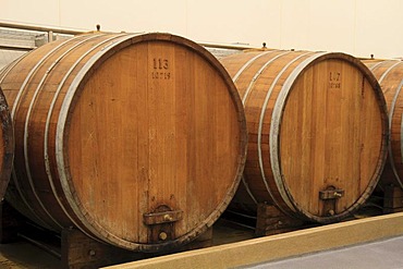 Two large oak barrels for liquor storage, Aalborg Akvavit spirits factory, Aalborg, North Jutland, Denmark, Europe