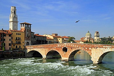 River Adige, Ponte Pietra bridge, Cathedral Santa Maria Matricolare and Church of S. Giorgio in Braida, Verona, Veneto, Italy, Europe