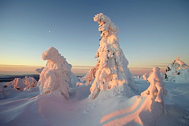 Winter morning on Mt. Brocken, Saxony-Anhalt, Germany, Europe